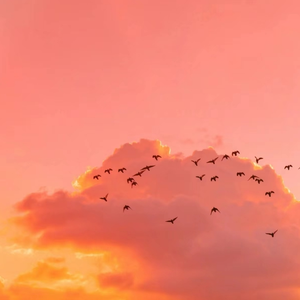 爽⋯好多水⋯快⋯爽快免费水
